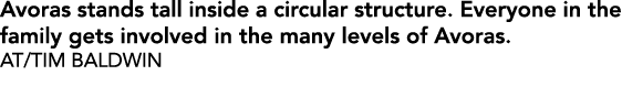 Avoras stands tall inside a circular structure. Everyone in the family gets involved in the many levels of Avoras. AT...